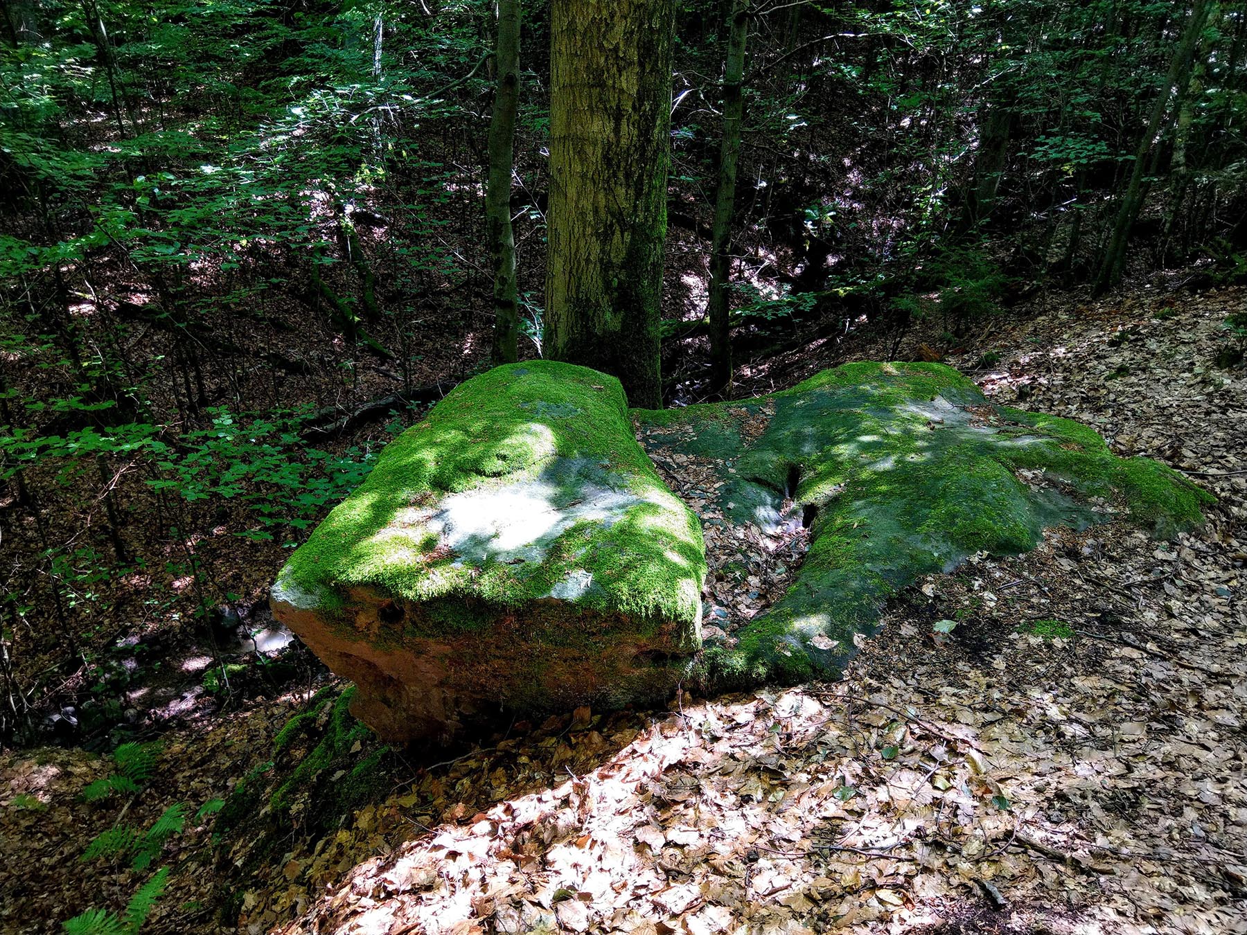 Felsen Altarstein in Grebenau-Schwarz