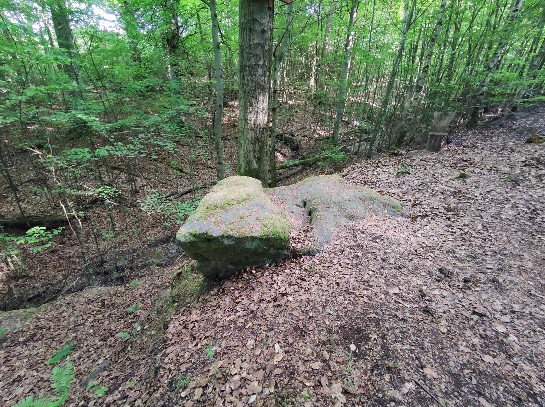 Felsen Altarstein in Grebenau-Schwarz