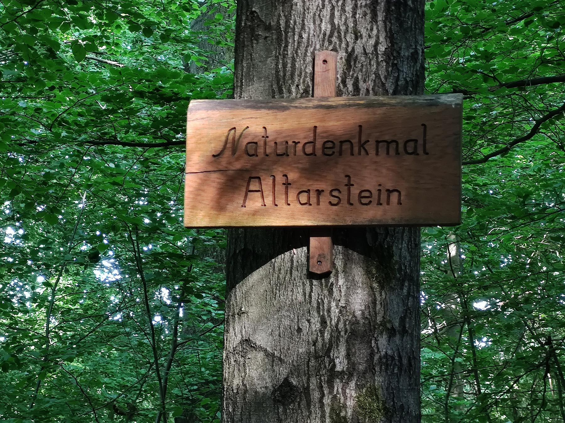 Felsen Altarstein in Grebenau-Schwarz