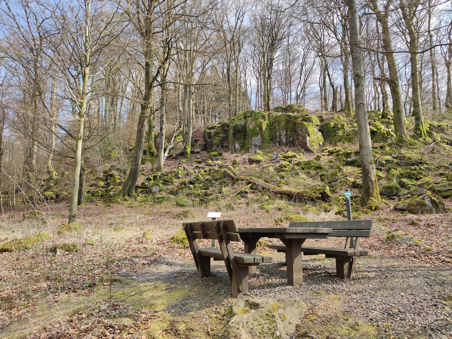 Bergspitze Alte Burg (Kaulstoß) in Schotten-Kaulstoß