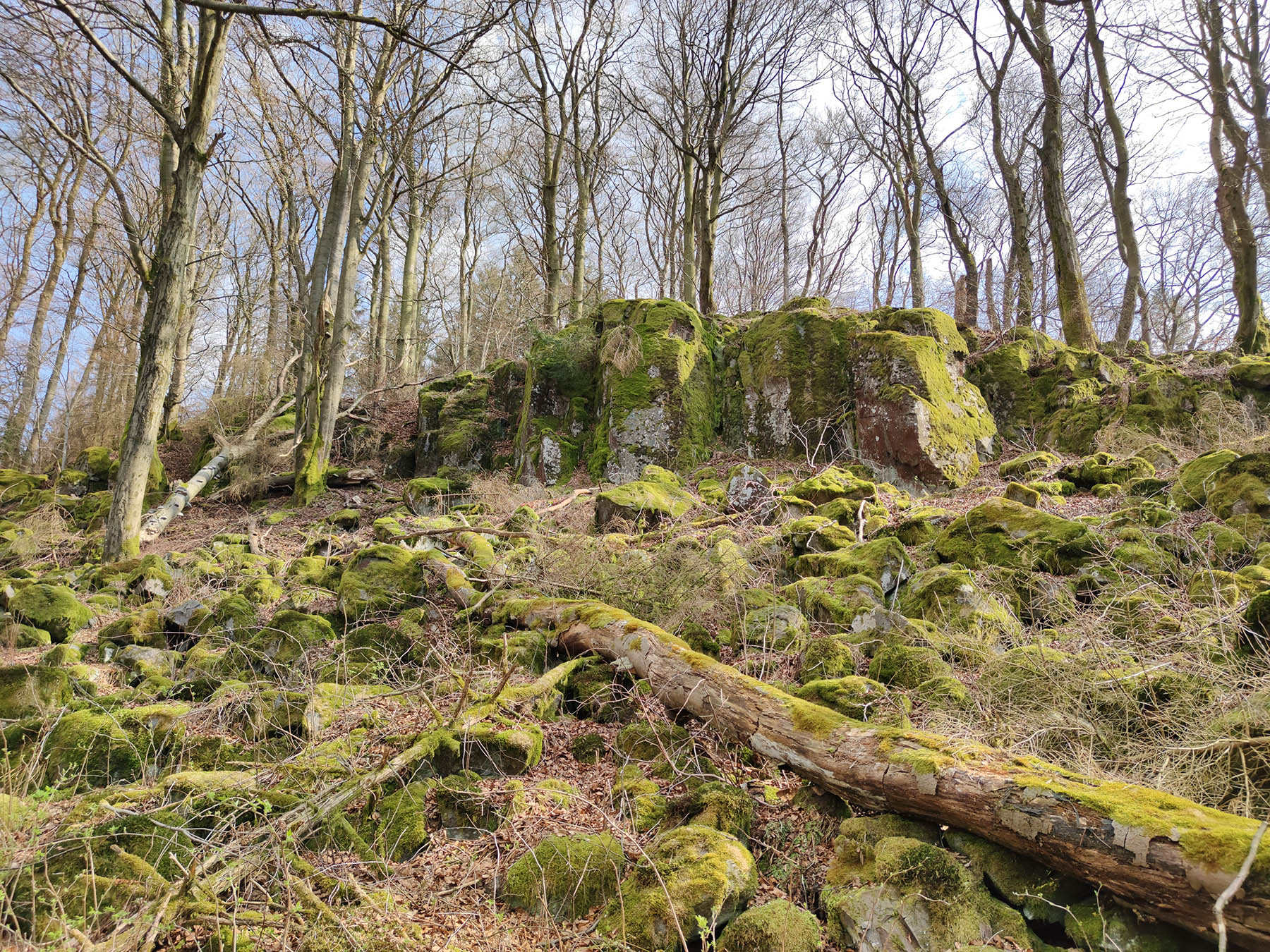 Bergspitze Alte Burg (Kaulstoß) in Schotten-Kaulstoß