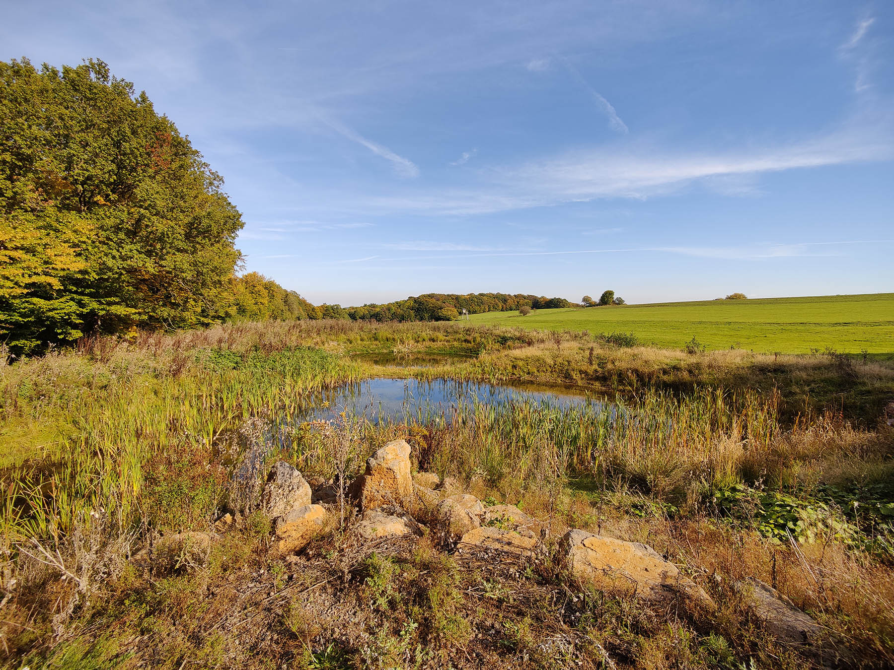 Biotop Alte Roth in Herbstein-Altenschlirf