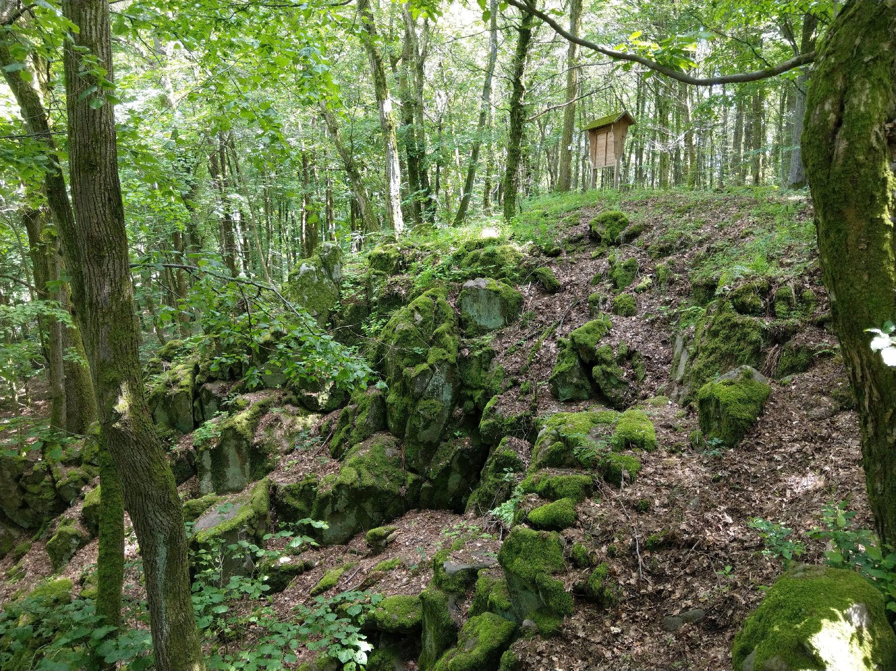 Bergspitze Alteburgkopf in Schotten