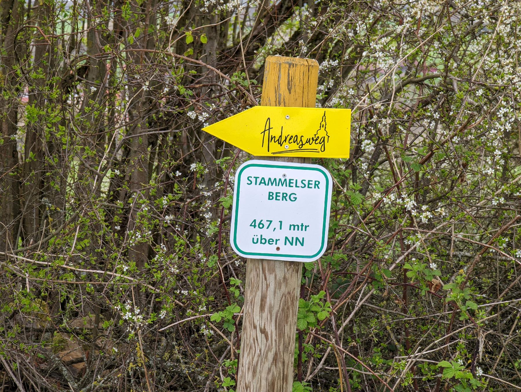 Strecke Andreasweg Altenschlirf im Vogelsberg