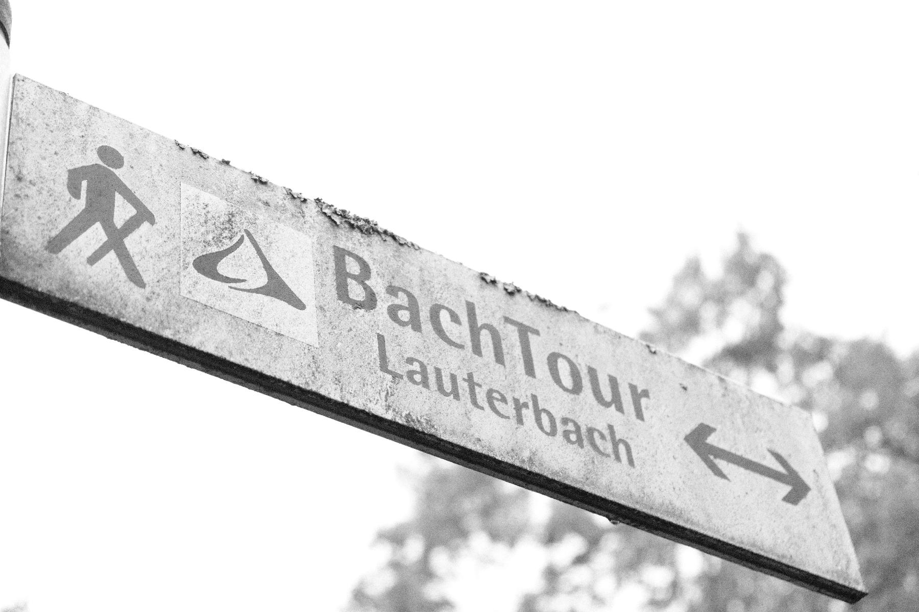 Strecke Bachtour Lauterbach im Vogelsberg