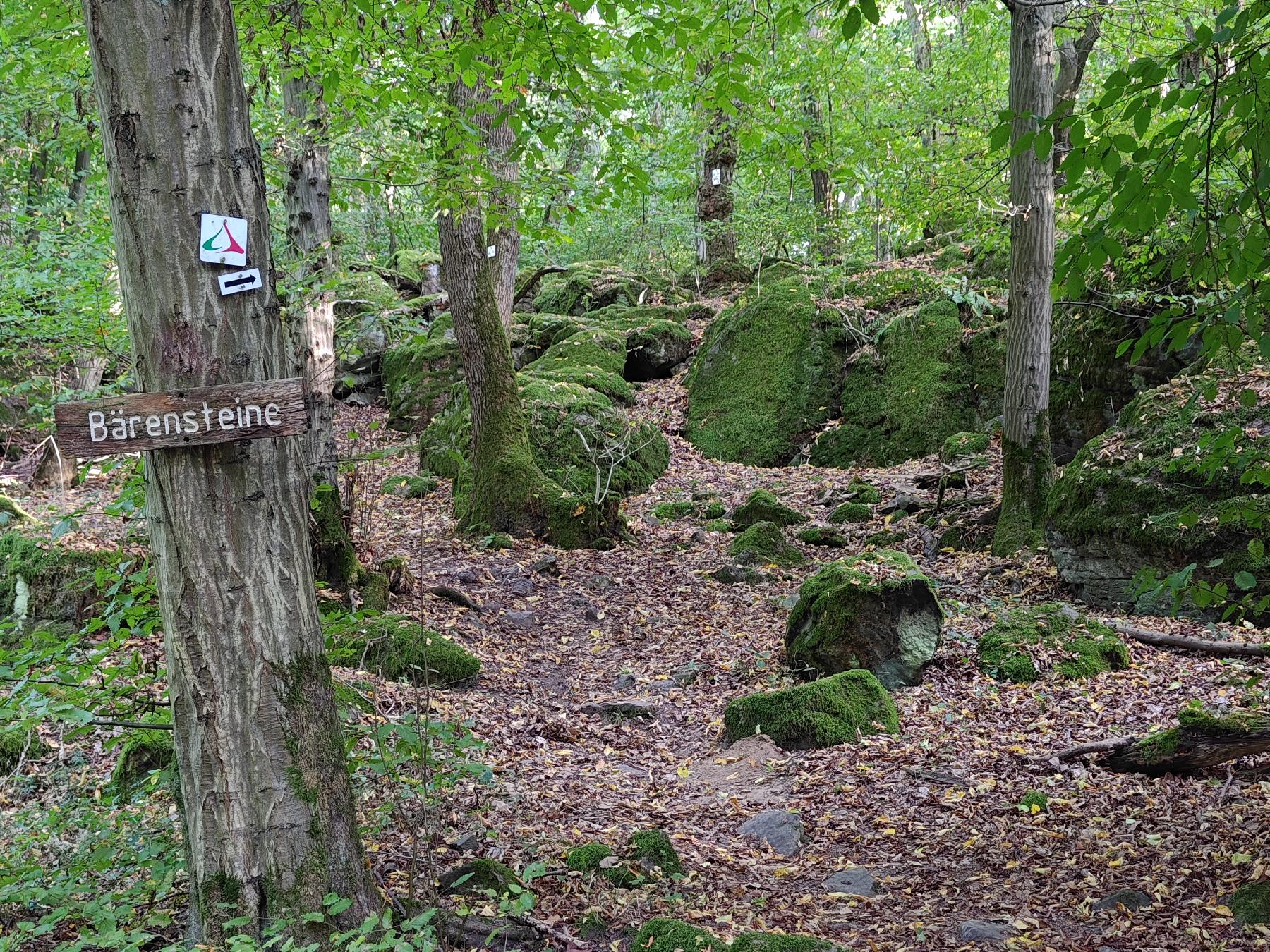 Felsen Bärensteine in Nidda-Eichelsdorf