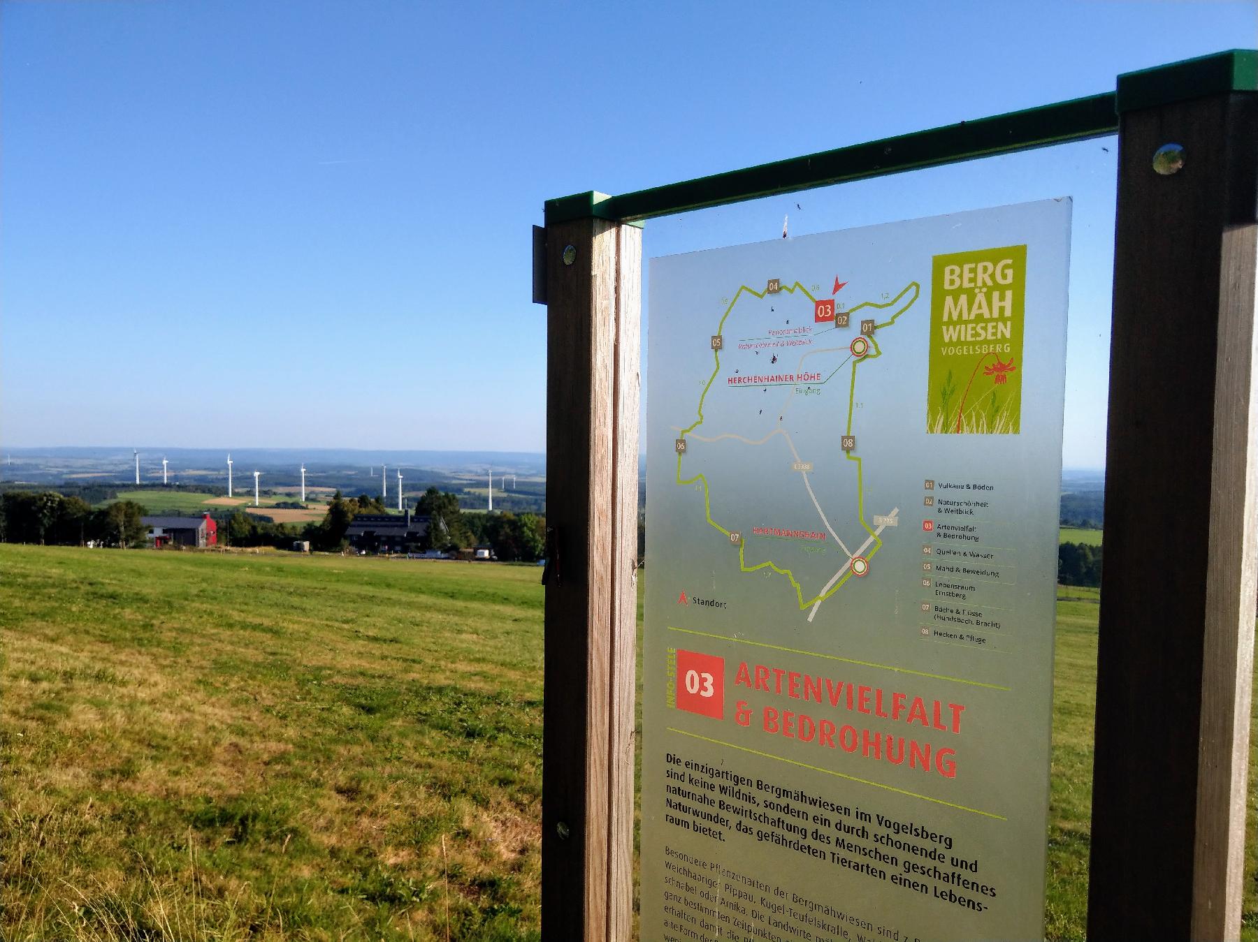 Strecke Bergmähwiesenpfad im Vogelsberg
