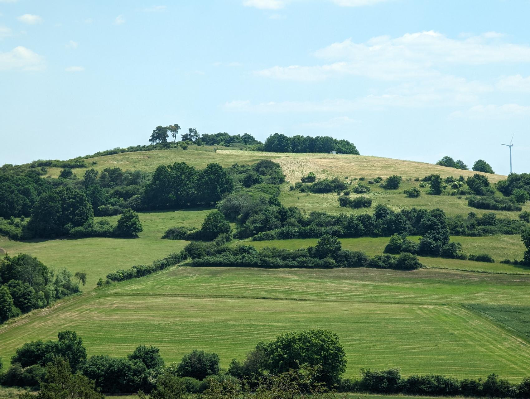 Berg Bilskuppe in Lauterbach-Maar