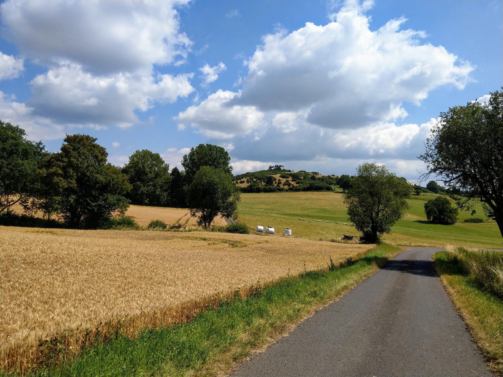 Berg Bilskuppe in Lauterbach-Maar