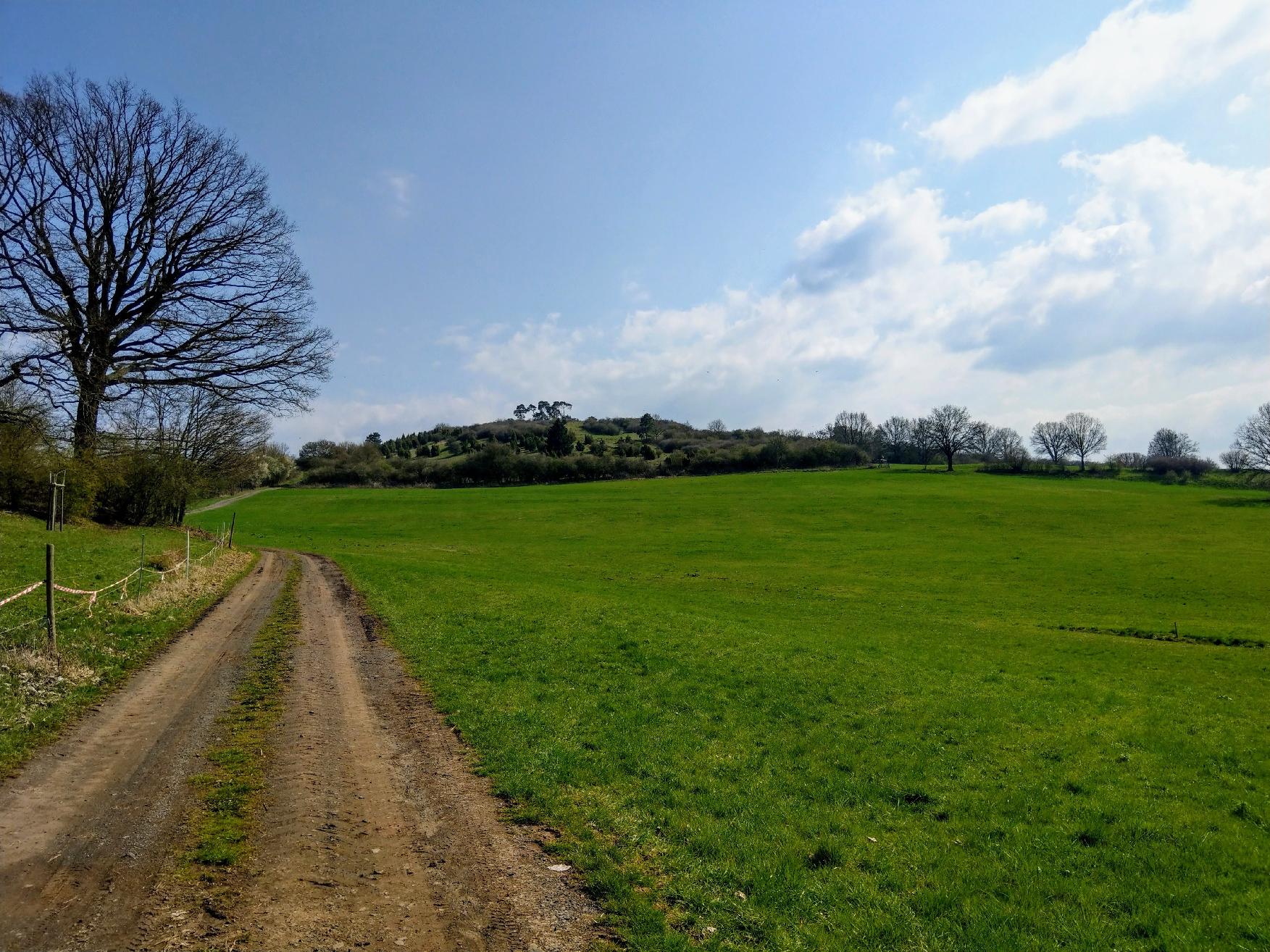 Berg Bilskuppe in Lauterbach-Maar