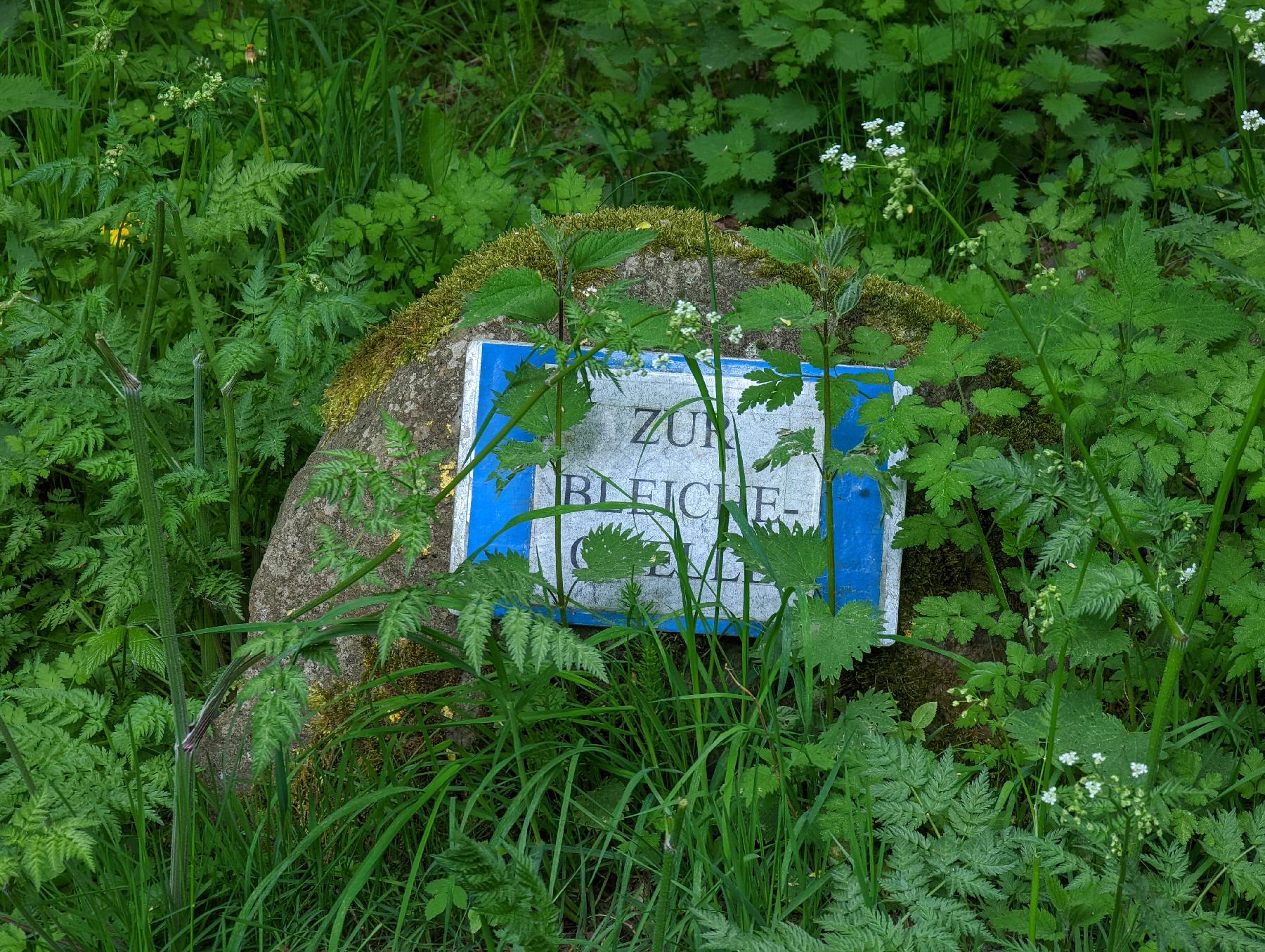 Quelle Bleichequelle in Gedern-Wenings