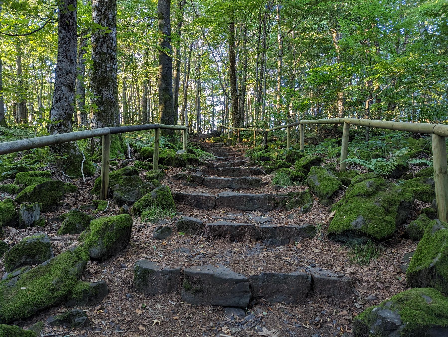 Felsen Blockfelder am Taufstein in Schotten-Breungeshain