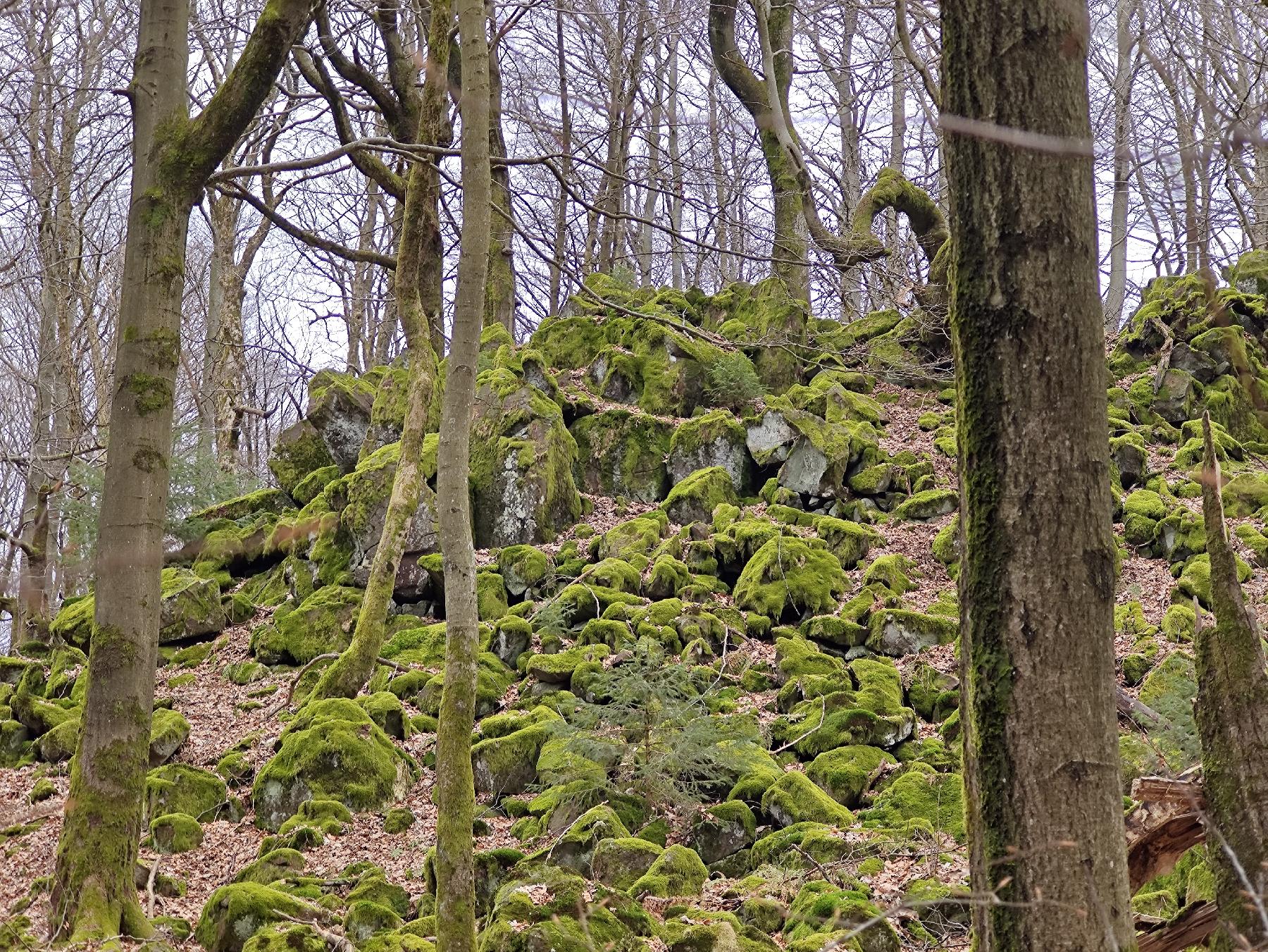 Felsen Blockfelder am Taufstein in Schotten-Breungeshain
