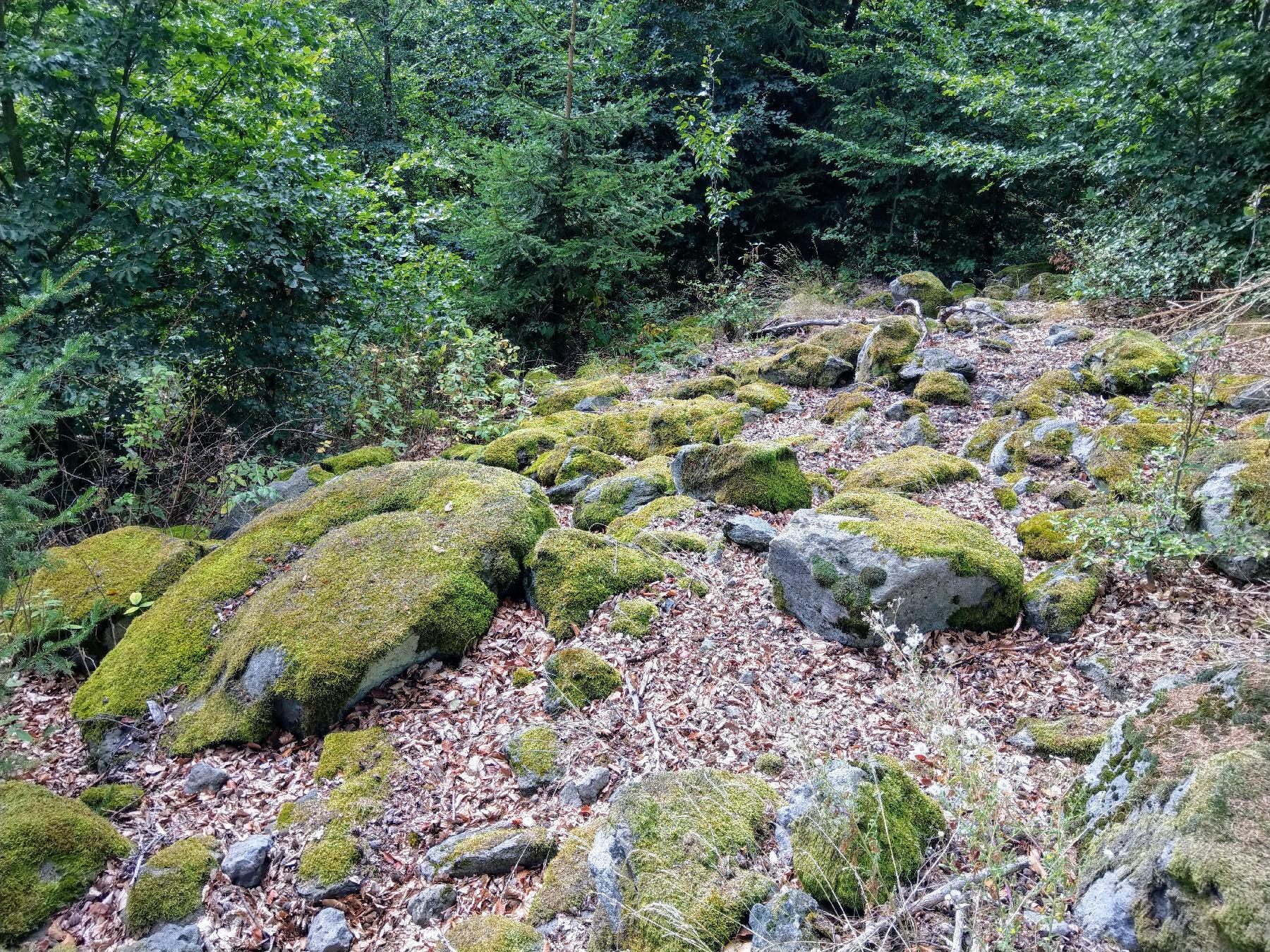 Felsen Blockhalde am Wöllstein in Herbstein-Stockhausen