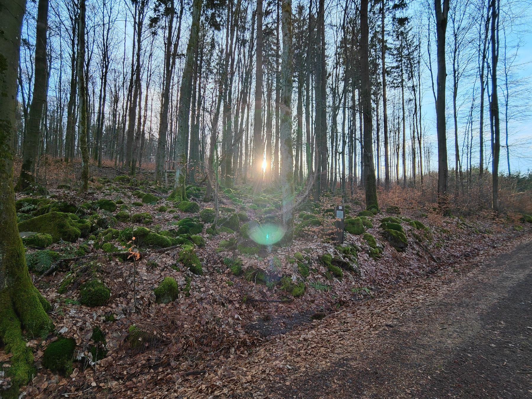 Felsen Blockhalde im Hegholz in Grebenhain-Hochwaldhausen