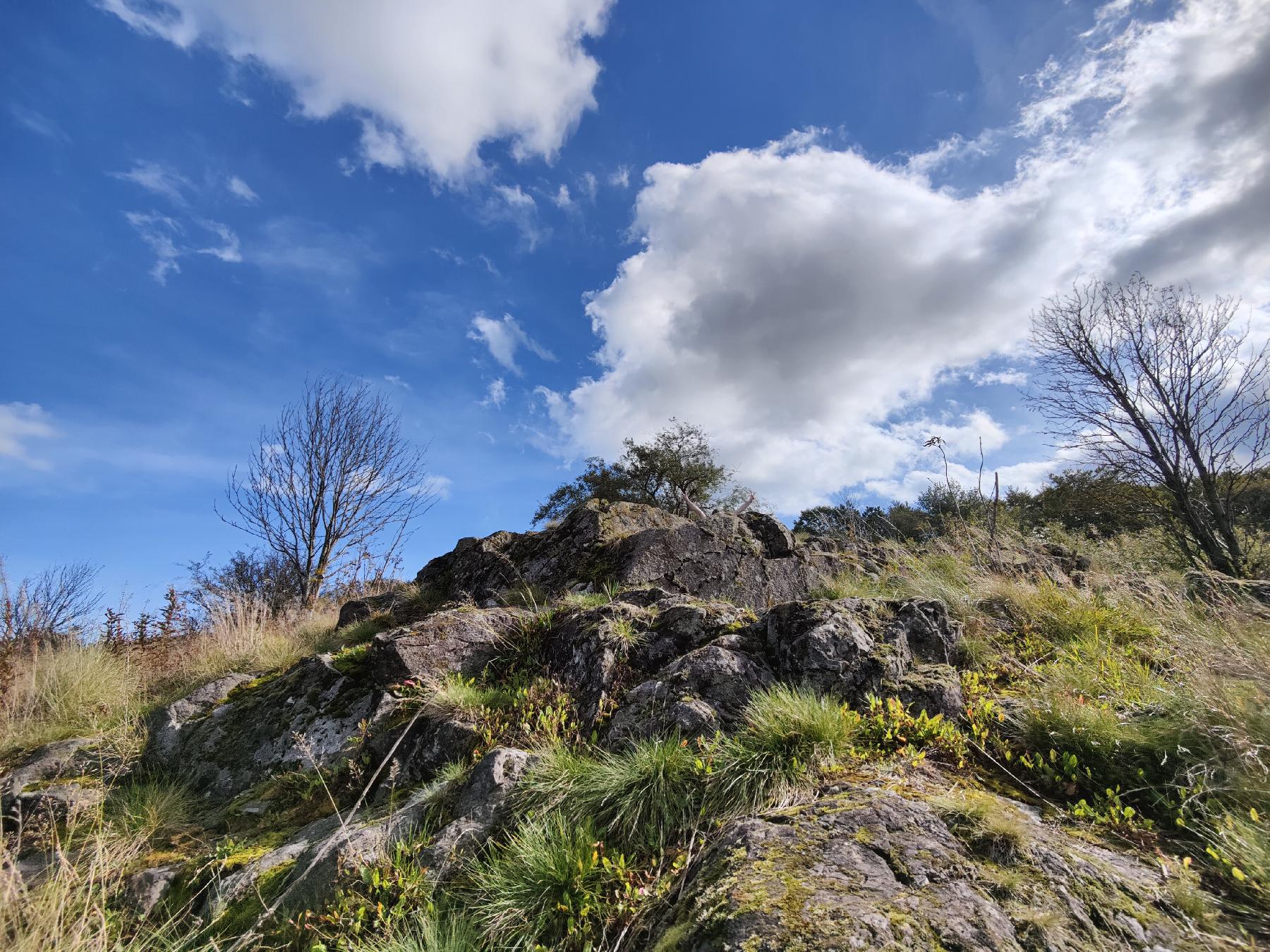 Felsen Blockweide Ernstberg in Schotten-Sichenhausen