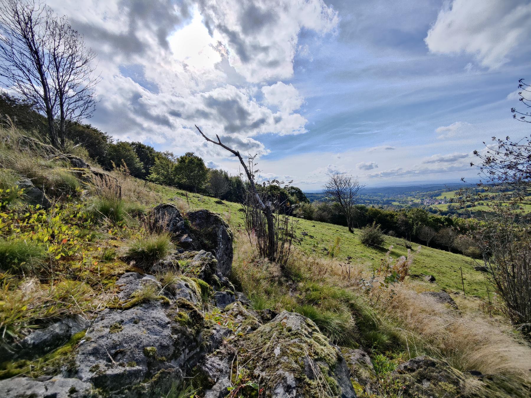 Felsen Blockweide Ernstberg in Schotten-Sichenhausen