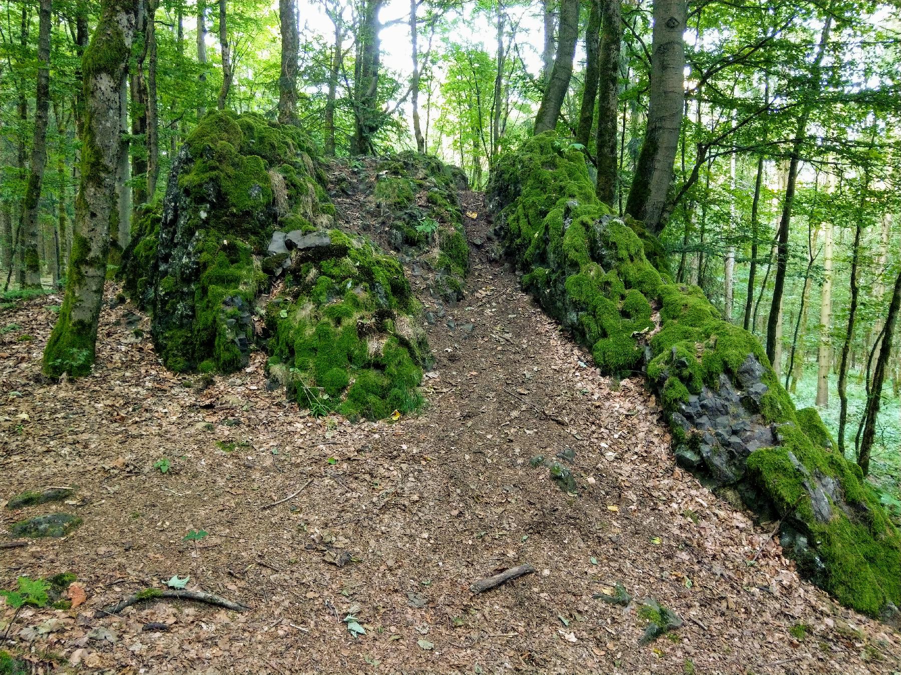 Felsen Bonifatiuskanzel in Grebenhain-Herchenhain