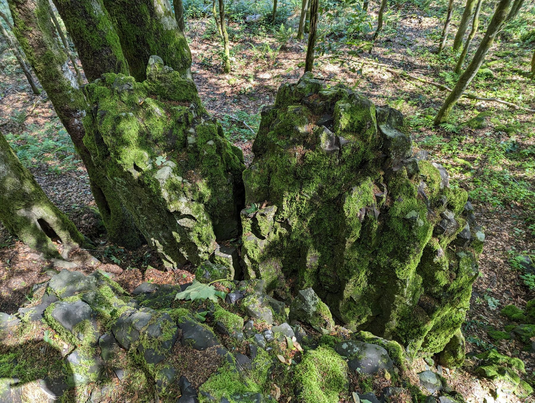 Felsen Bonifatiuskanzel in Grebenhain-Herchenhain