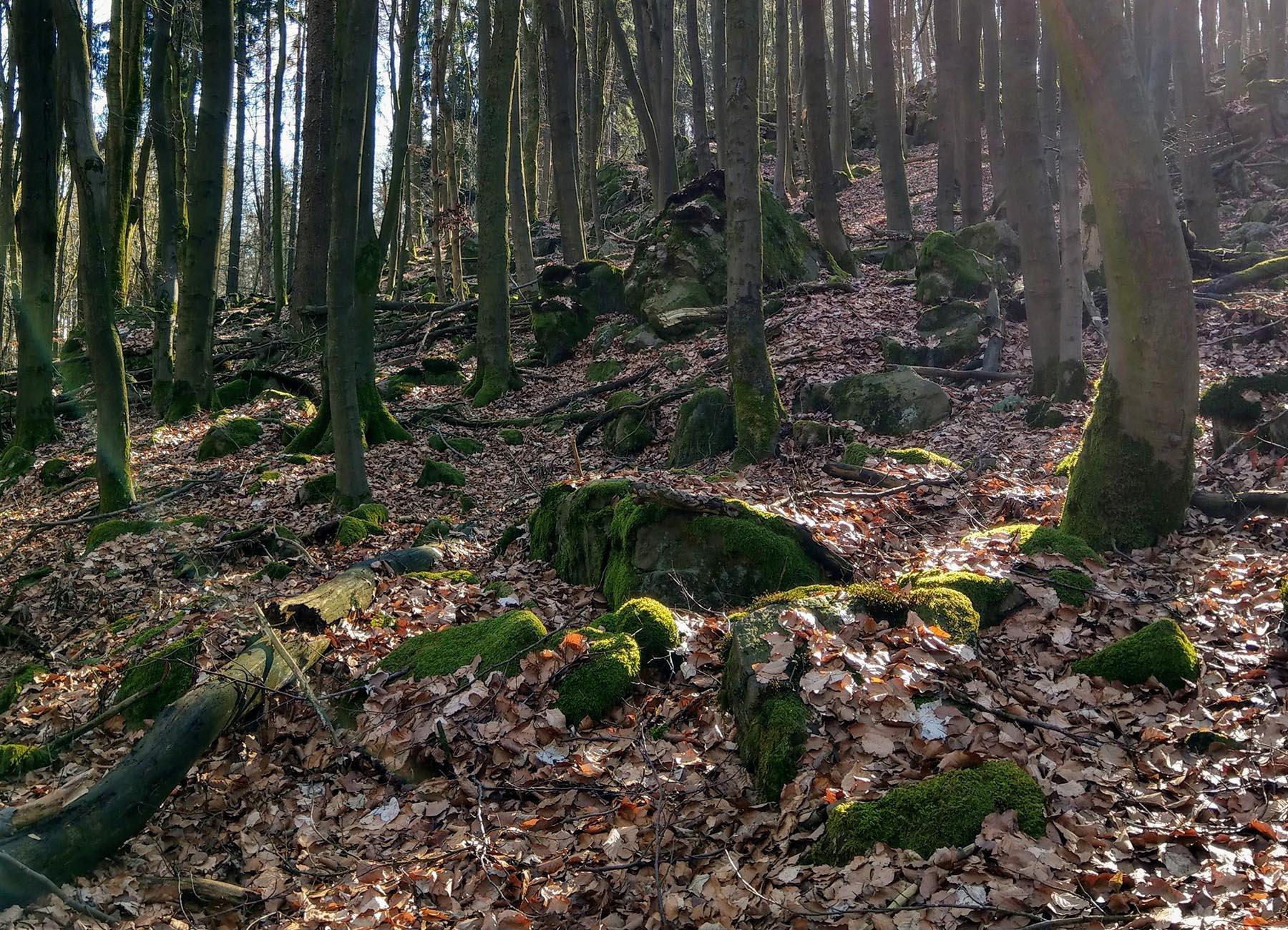 Felsen Burgfrieden in Herbstein-Lanzenhain