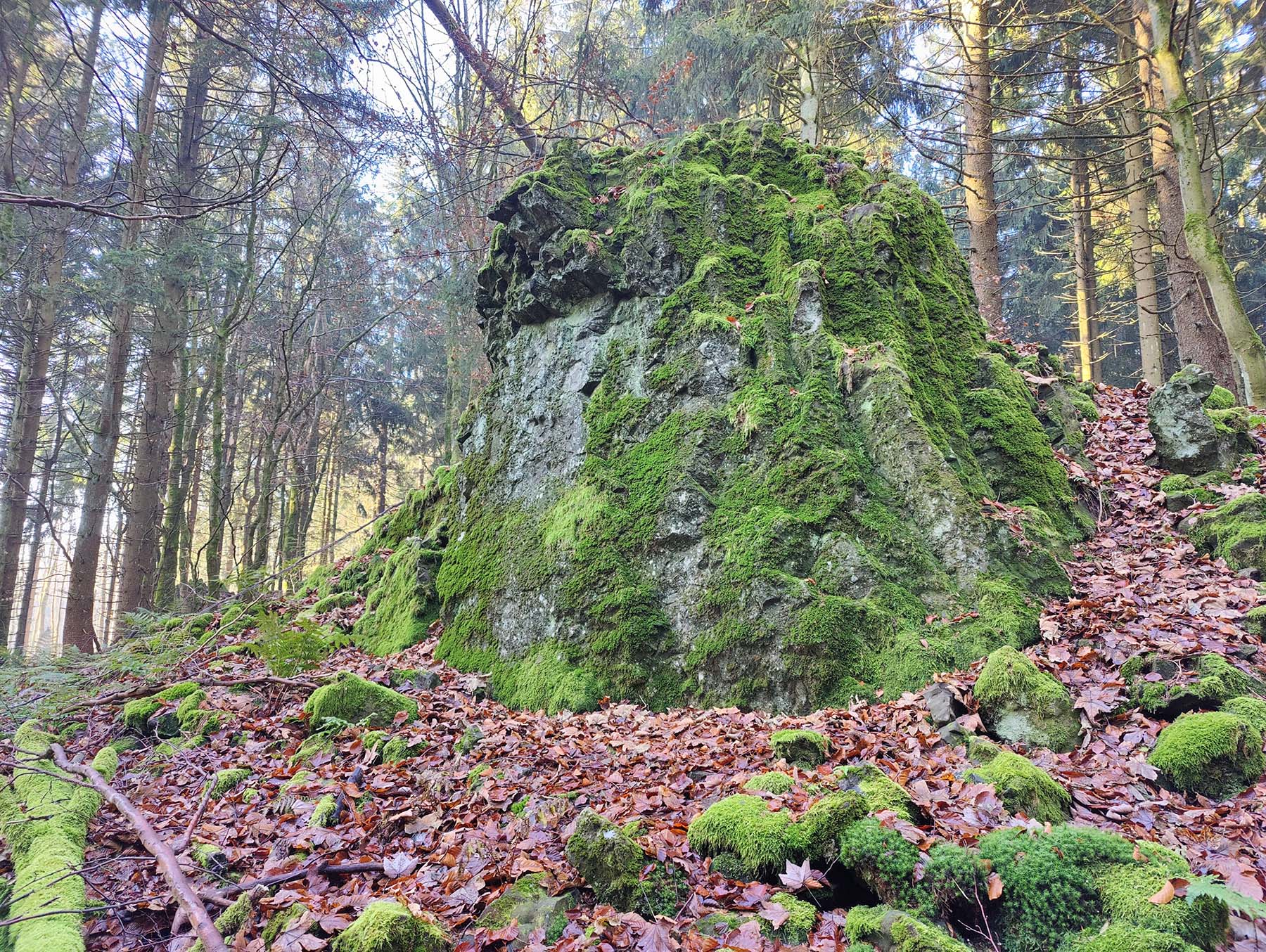 Felsen Das Gesicht in Grebenhain-Herchenhain