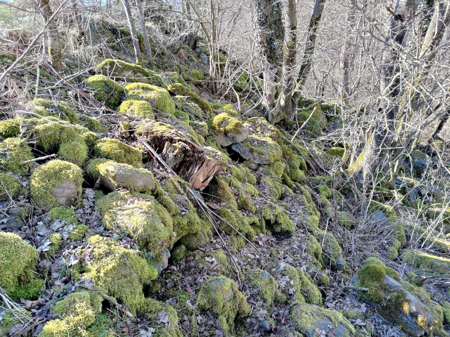 Felsen Das Steingeröll in Grebenhain-Heisters