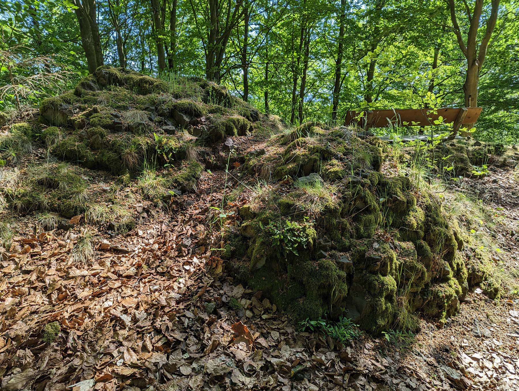 Felsen Der Basaltfelsen in Bad Salzschlirf