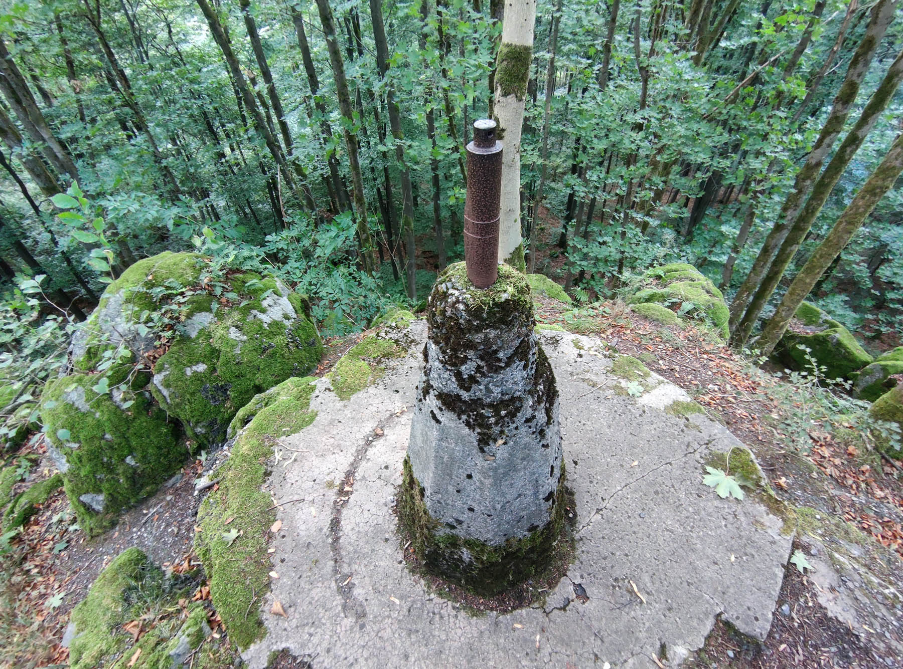 Kulturdenkmal Der Flak-Vierling in Grebenhain-Oberwald