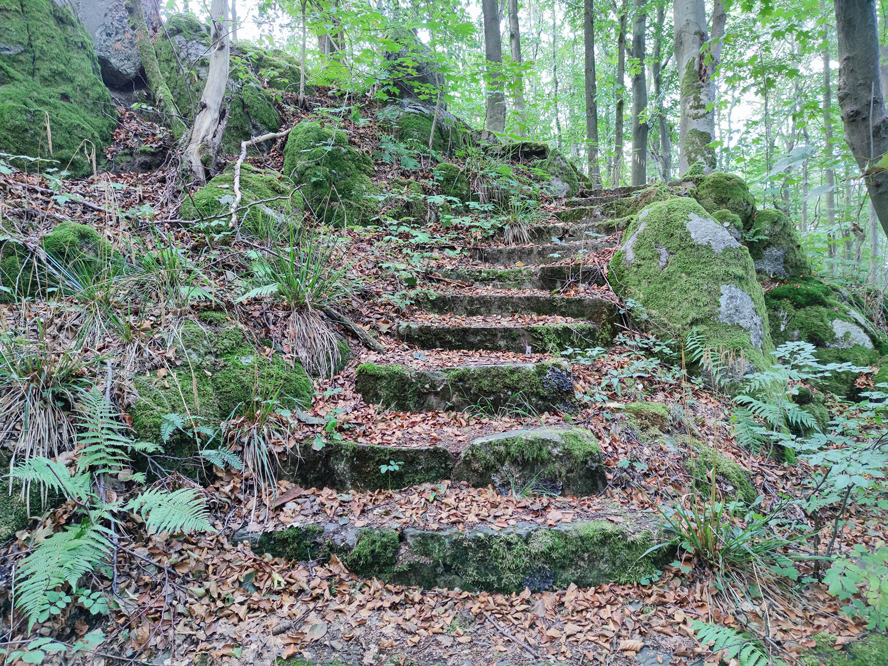 Kulturdenkmal Der Flak-Vierling in Grebenhain-Oberwald