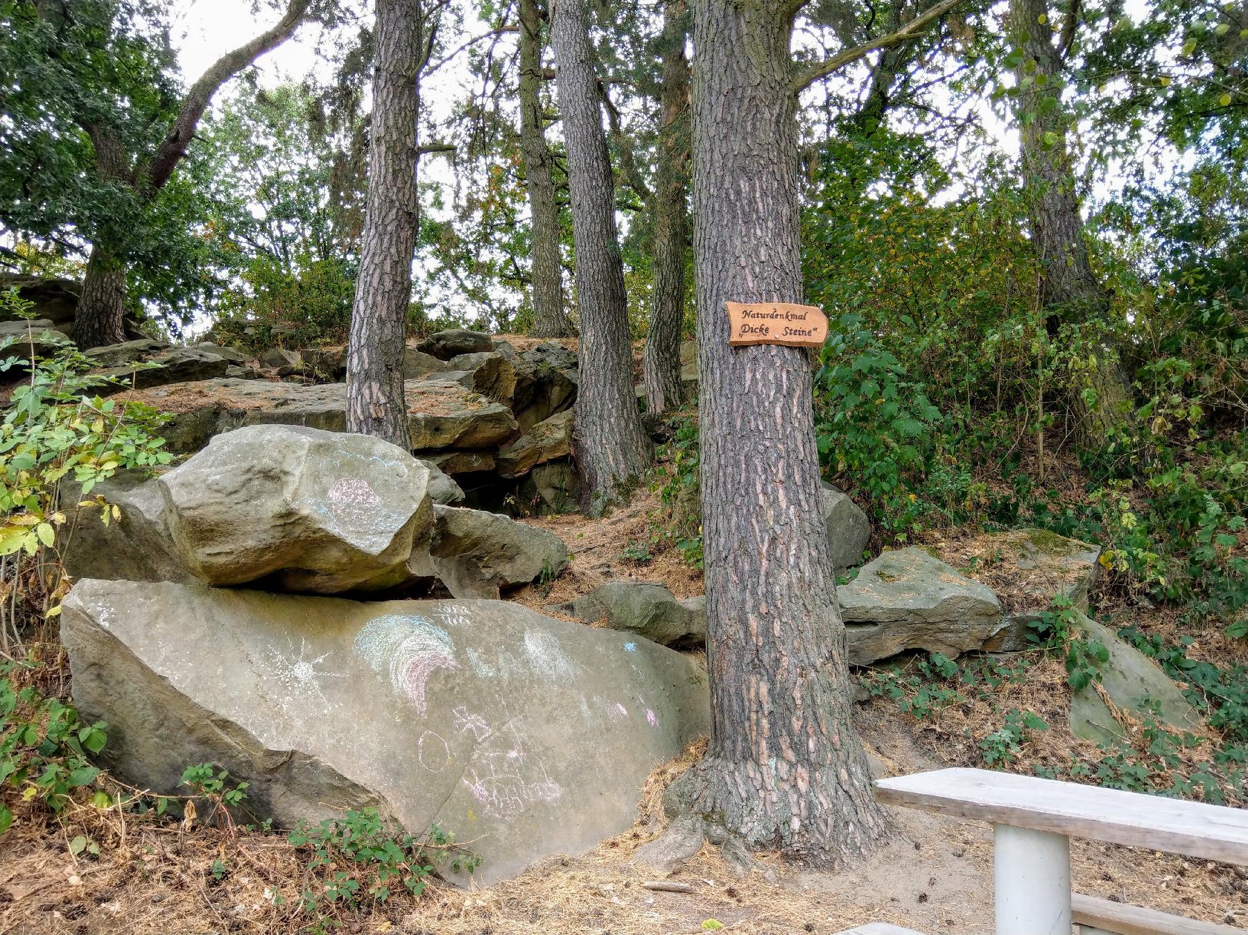 Felsen Dicke Steine Nieder-Ofleiden in Homberg (Ohm)-Nieder-Ofleiden