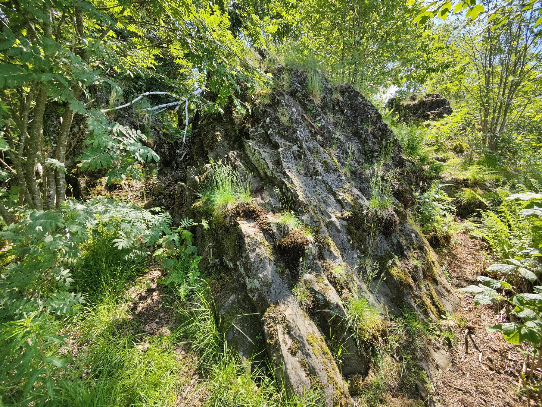 Felsen Dicke Steine von Stumpertenrod in Feldatal-Stumpertenrod