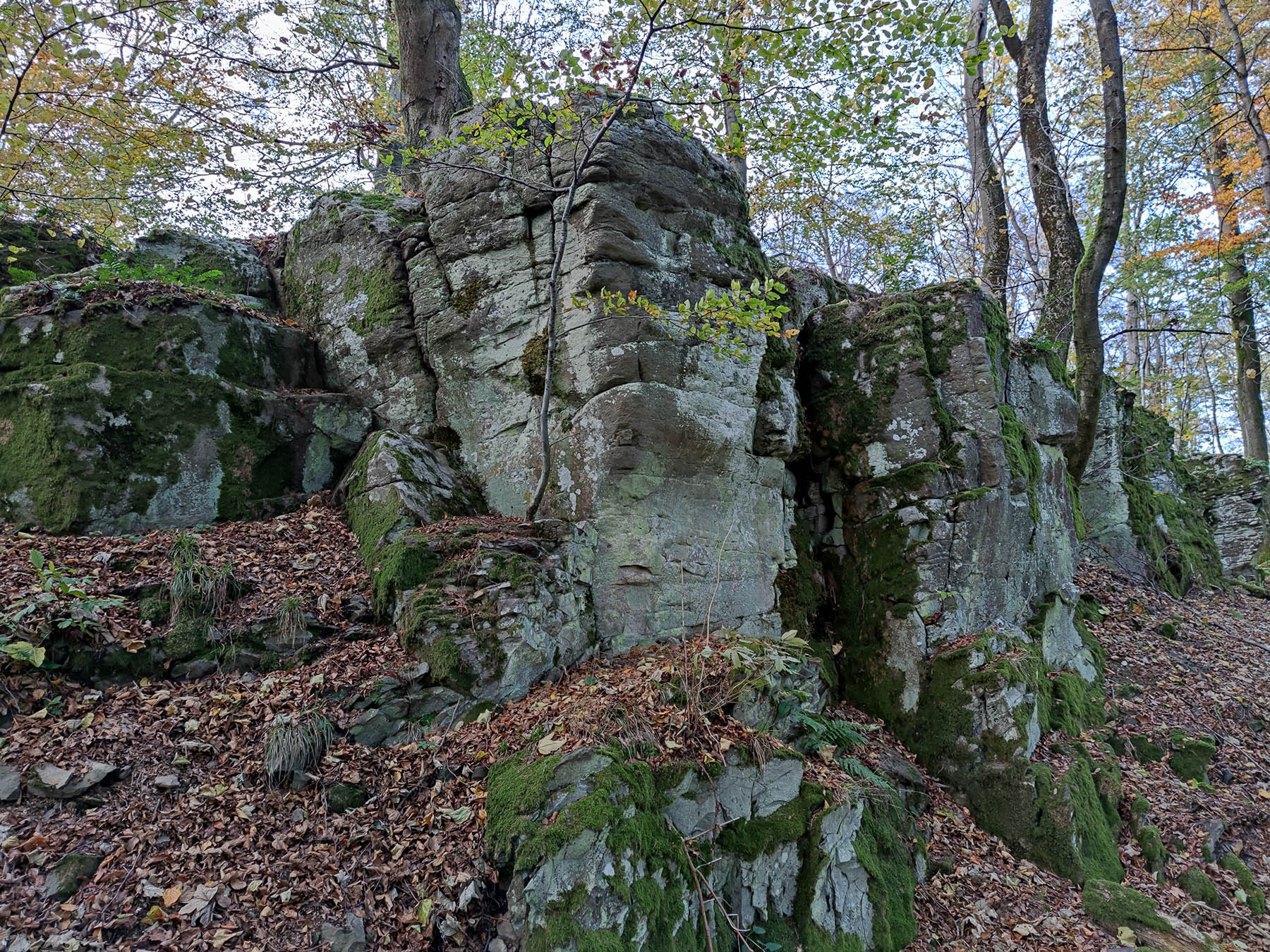 Bergspitze Diebstein in Herbstein-Lanzenhain