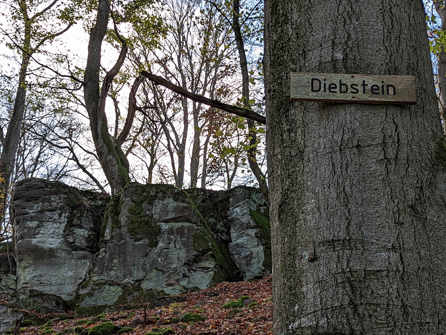 Bergspitze Diebstein in Herbstein-Lanzenhain