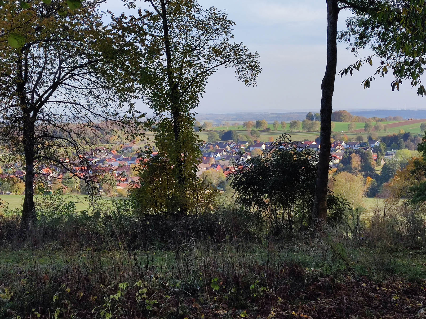 Bergspitze Diebstein in Herbstein-Lanzenhain