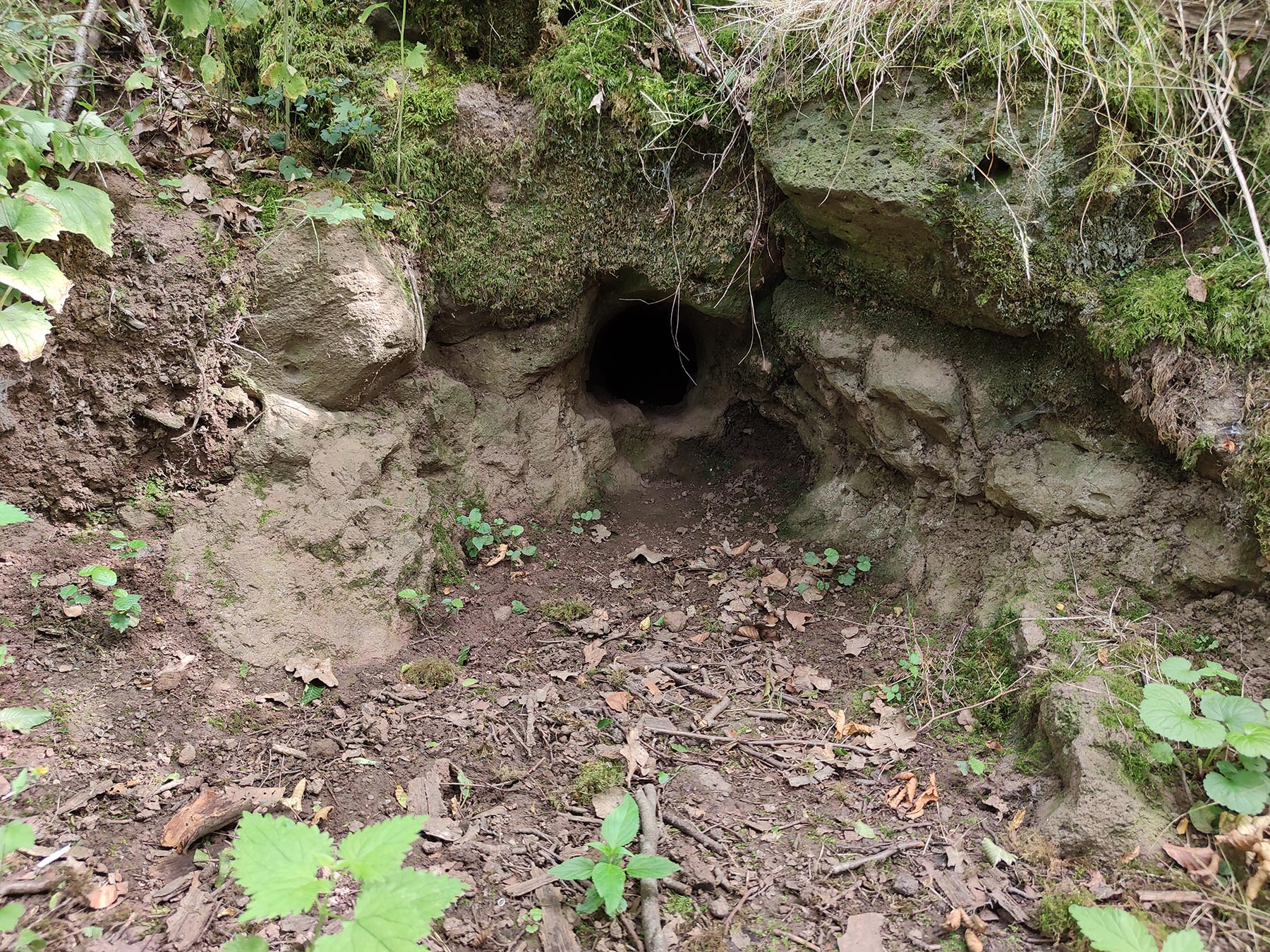 Felsen Drachenloch in Schotten-Rainrod