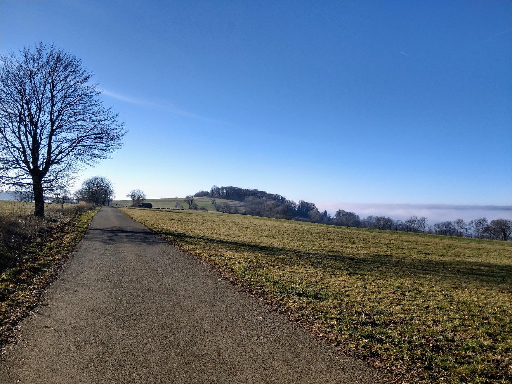 Berg Ernstberg in Schotten-Sichenhausen