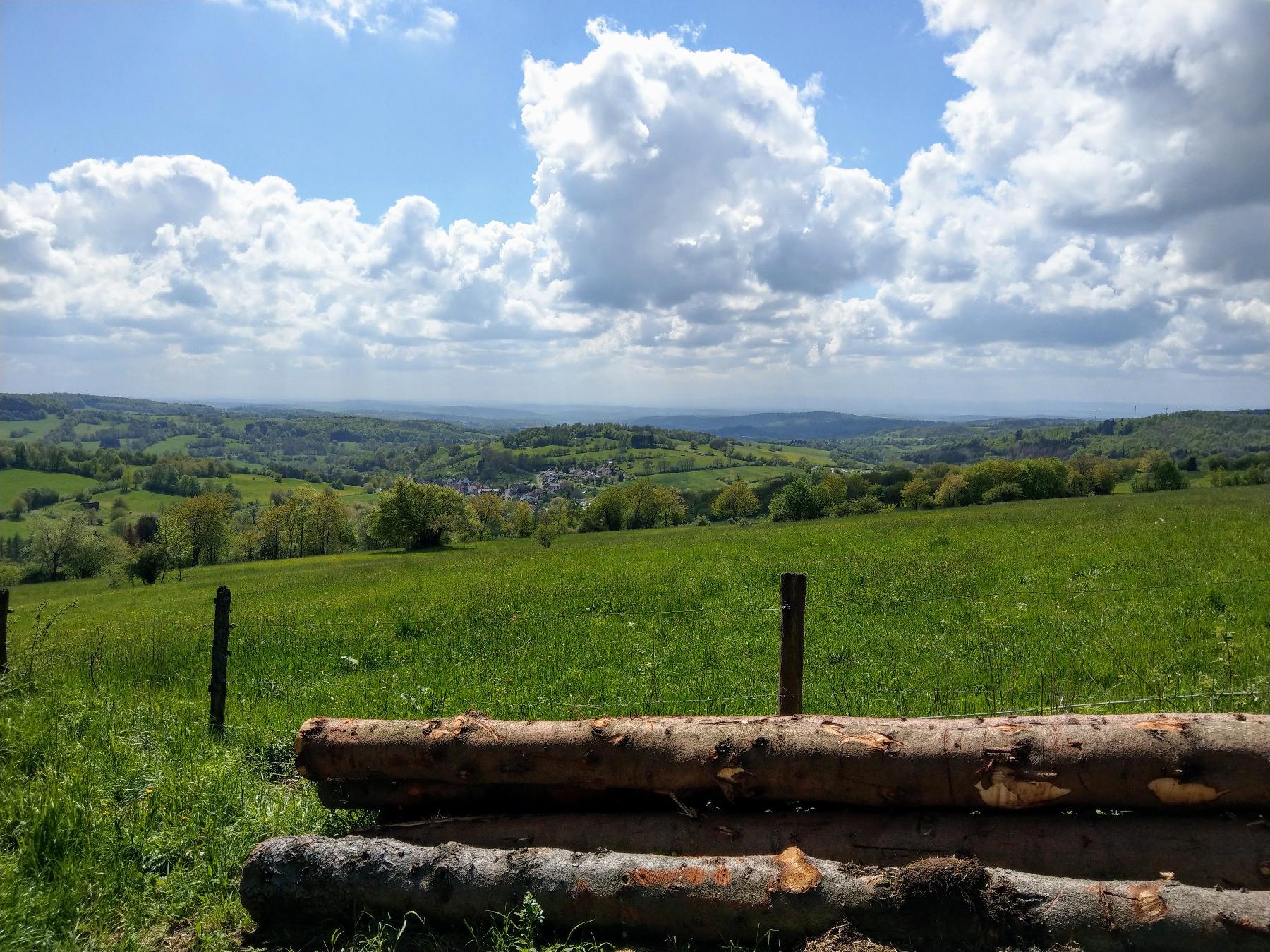 Berg Feldkrücker Höhe in Schotten-Rudingshain