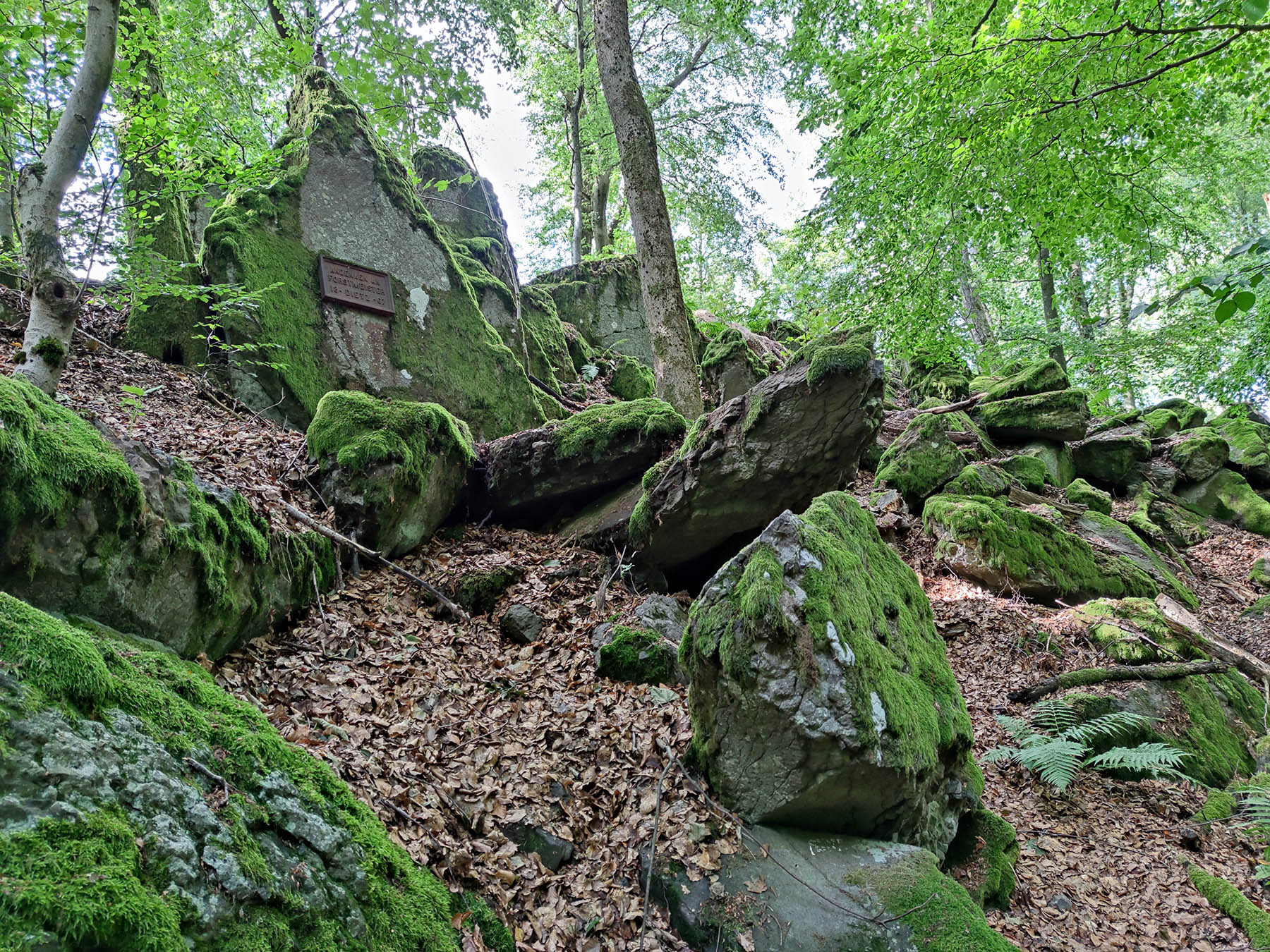 Bergspitze Felsen-Burg in Grebenhain-Ilbeshausen-Hochwaldhausen