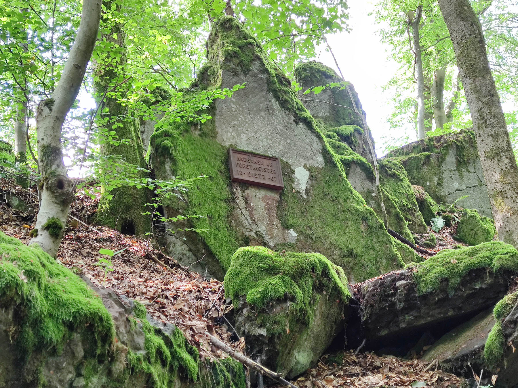 Bergspitze Felsen-Burg in Grebenhain-Ilbeshausen-Hochwaldhausen