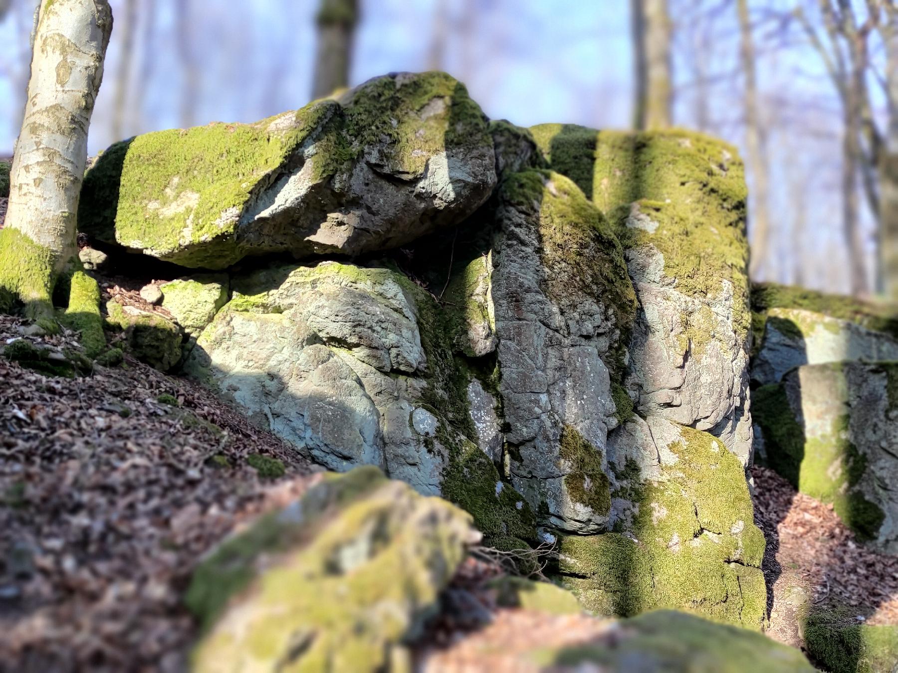 Felsen Felsenruhe in Herbstein