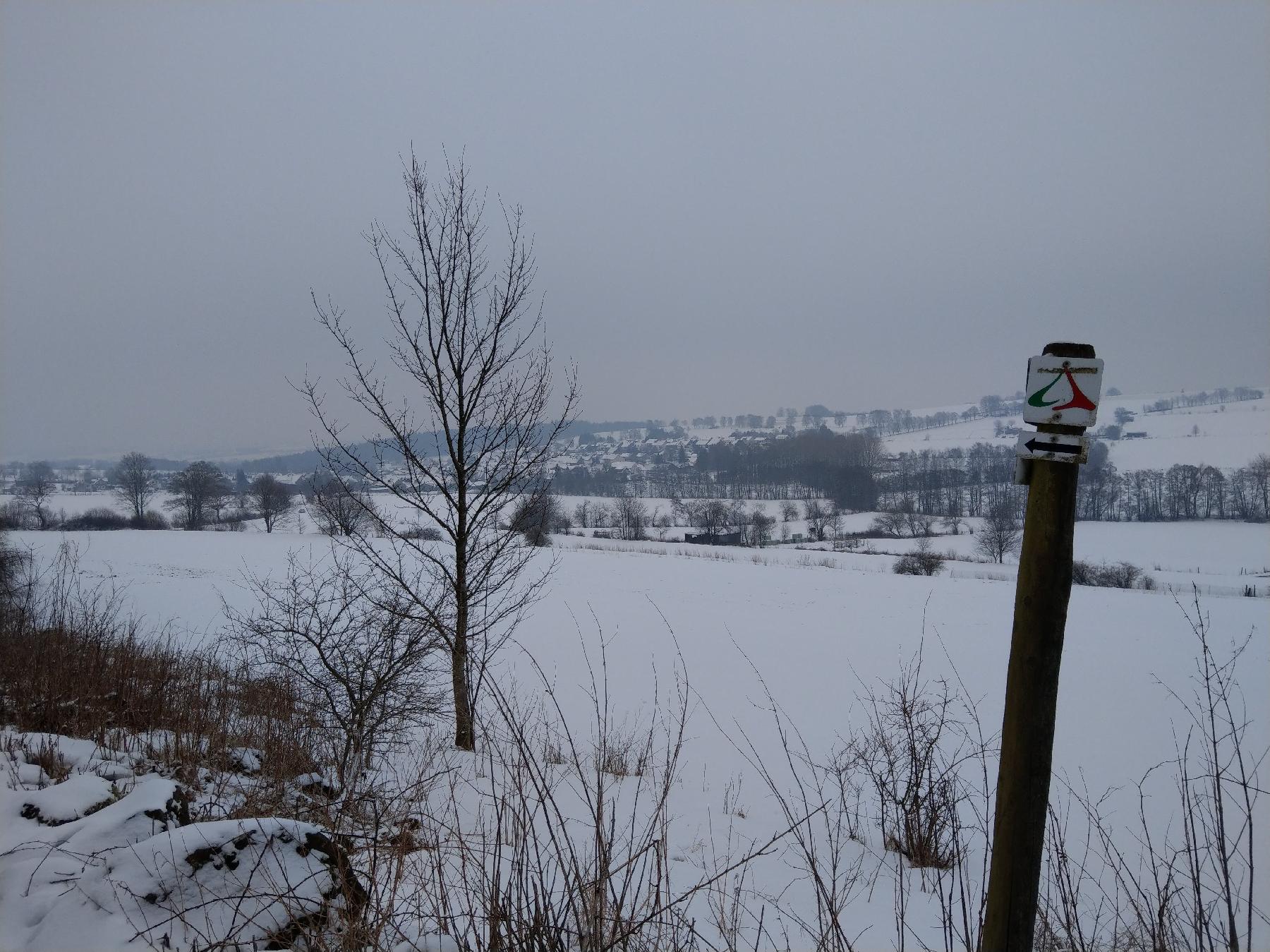 Strecke Felsentour Herbstein im Vogelsberg