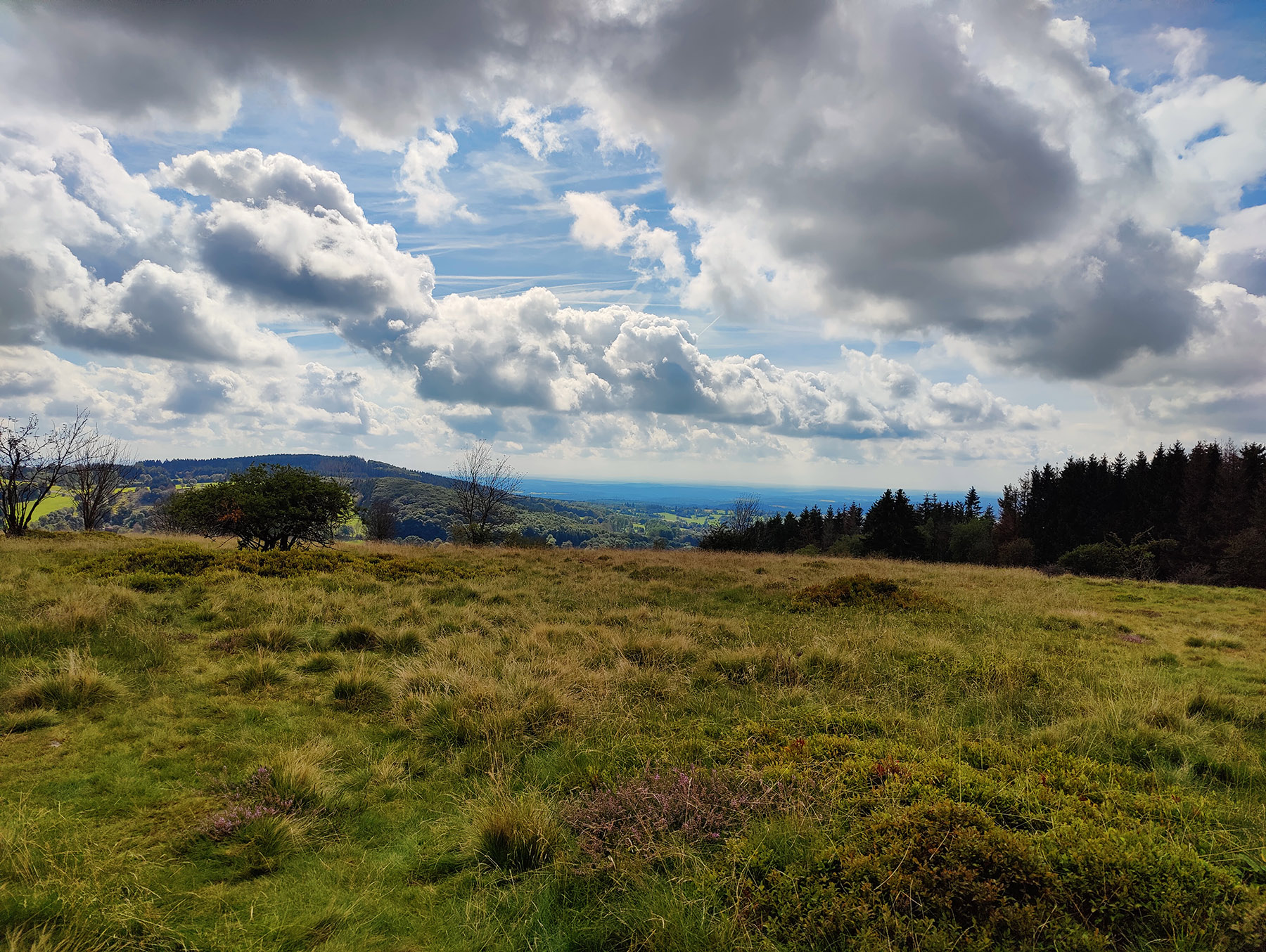 Bergspitze Gackerstein in Schotten-Breungeshain