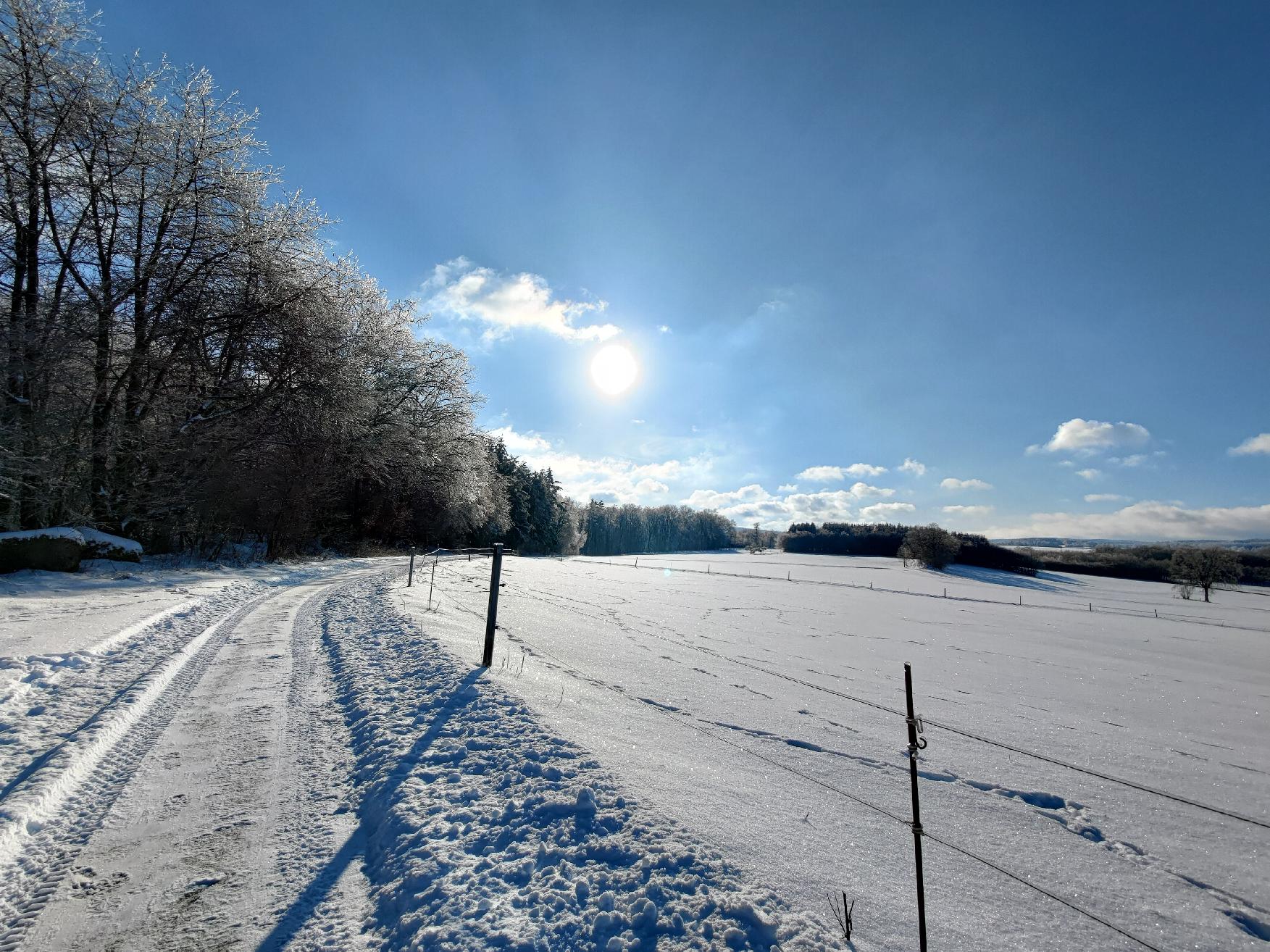 Berg Gallberg in Herbstein