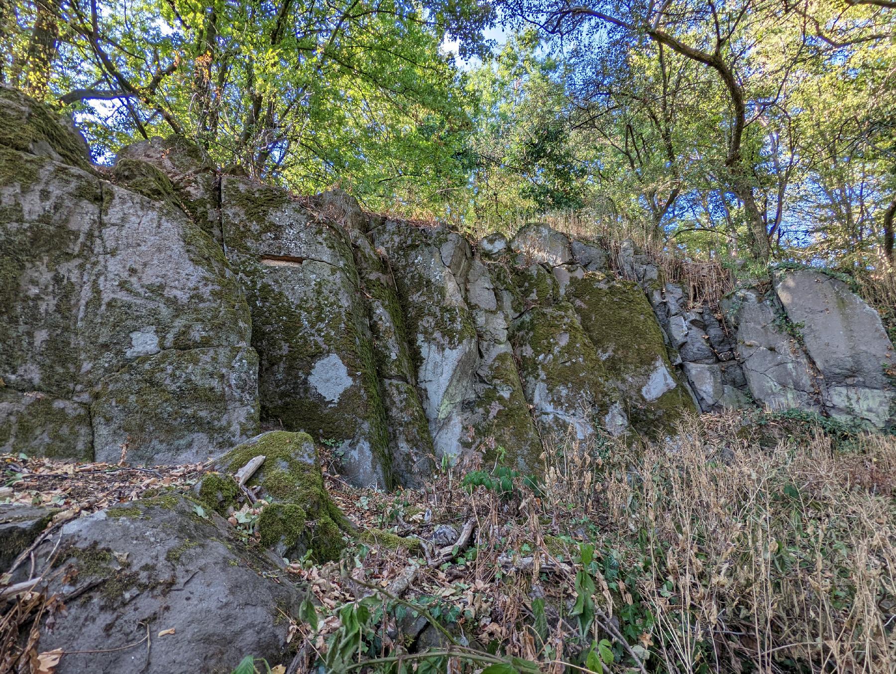 Felsen Geologische Baumhecke in Schotten-Eichelsachsen
