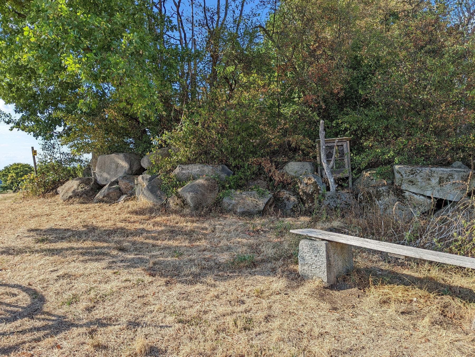 Felsen Geologische Baumhecke in Schotten-Eichelsachsen