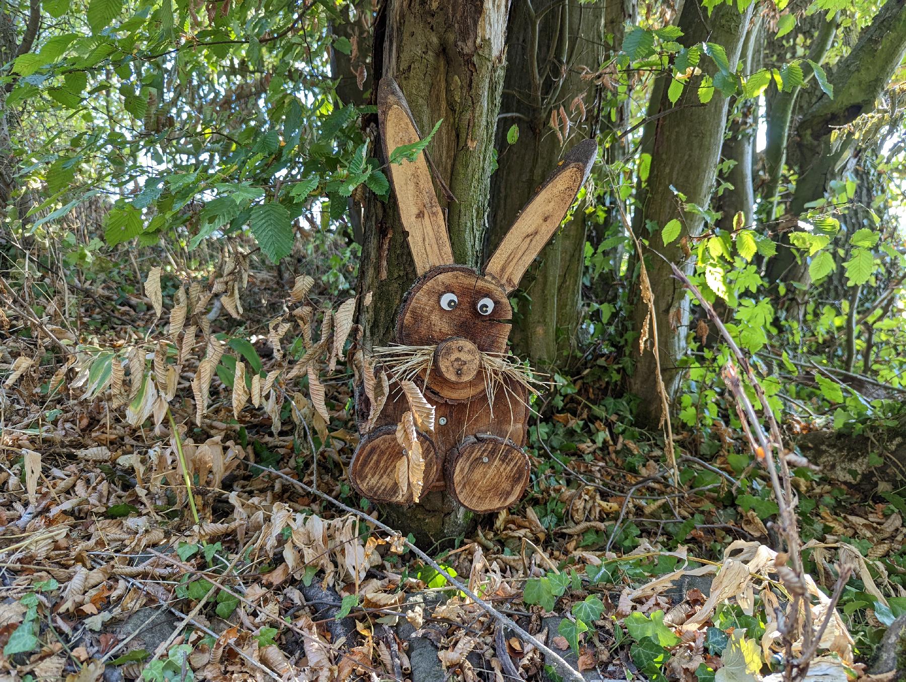 Felsen Geologische Baumhecke in Schotten-Eichelsachsen