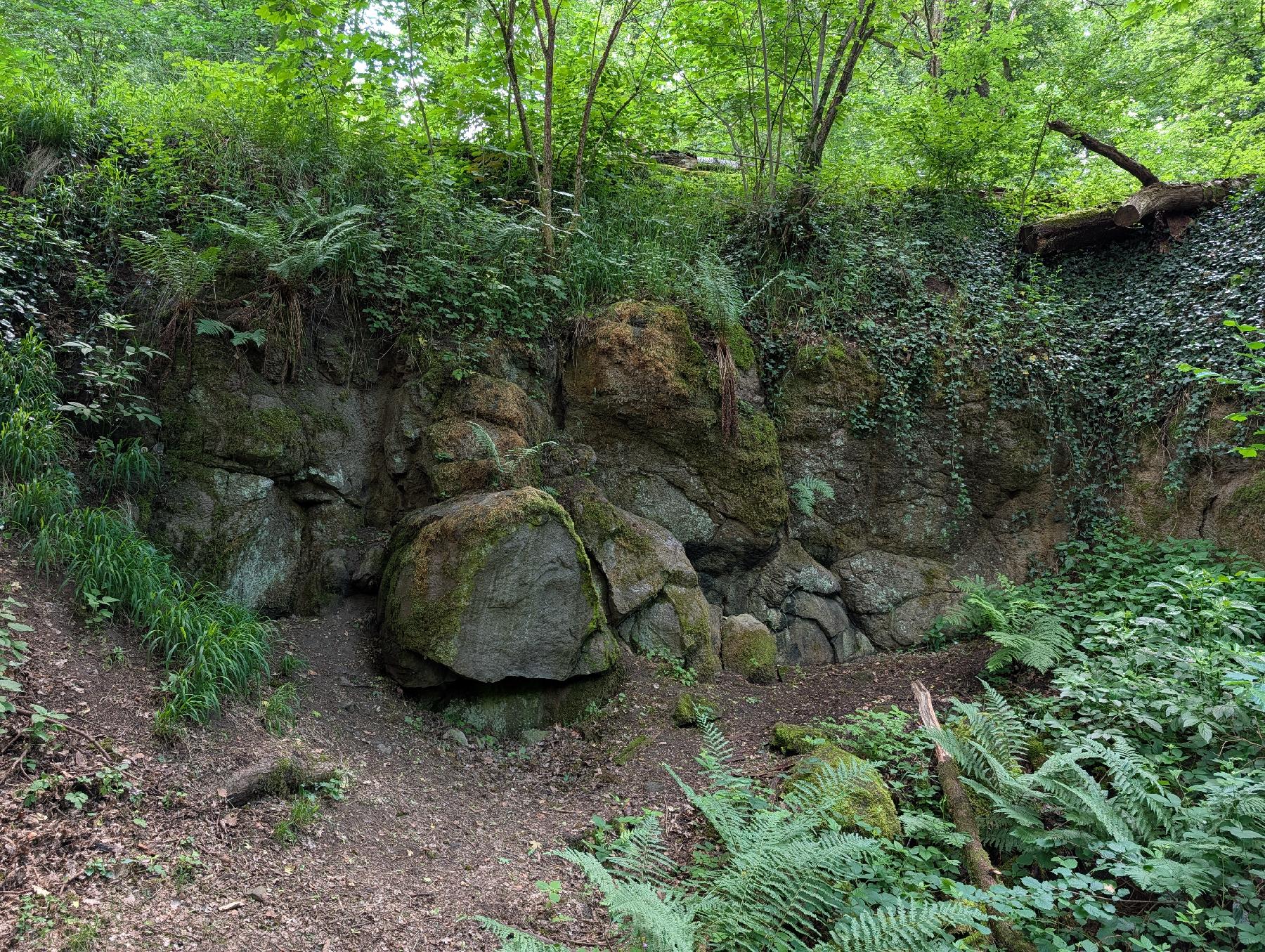 Felsen Geotop Warte in Schotten
