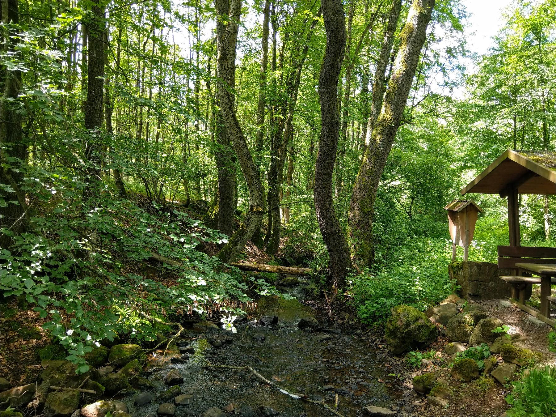 Felsen Gilgbachtal in Ulrichstein