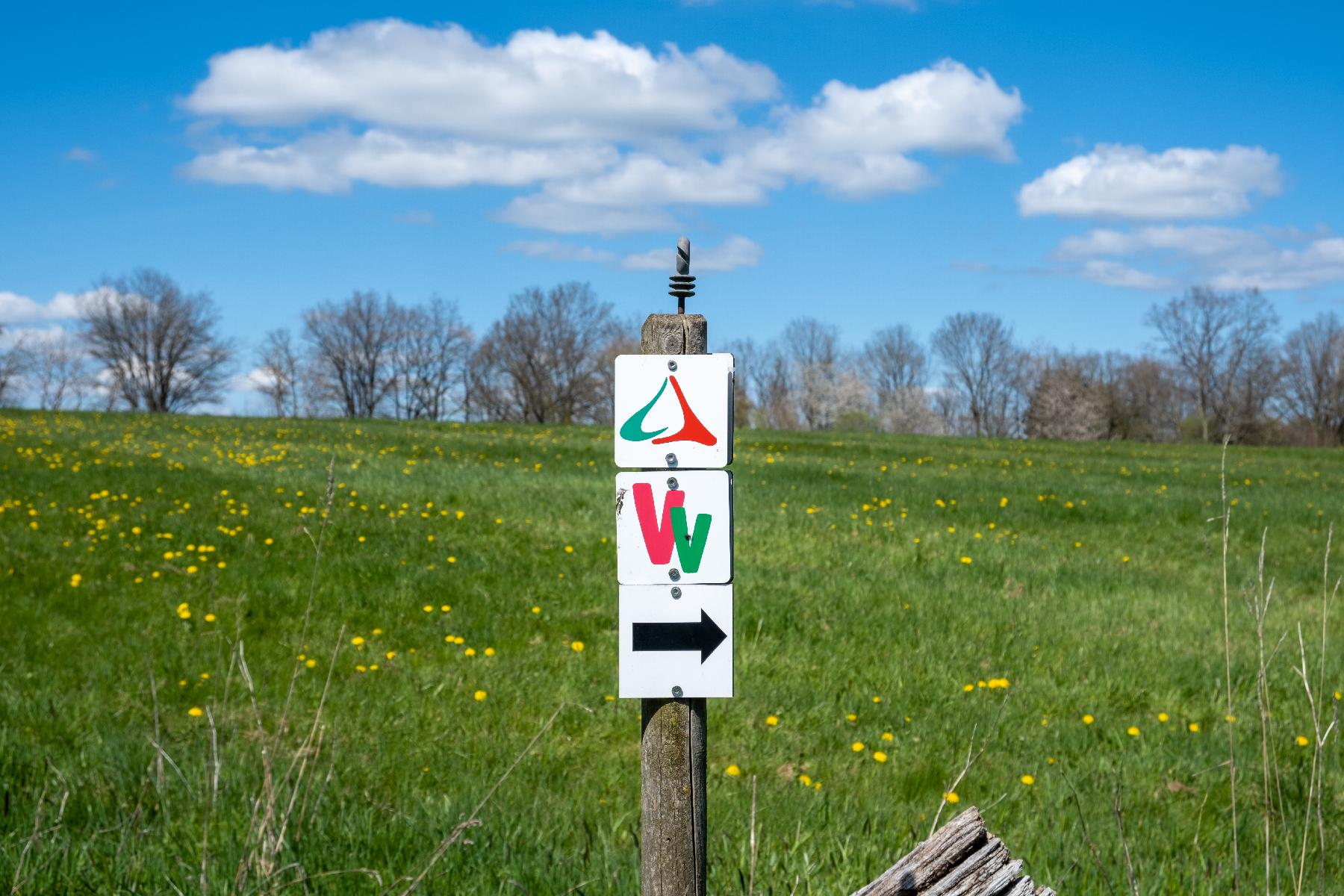 Strecke Gipfeltour Schotten im Vogelsberg