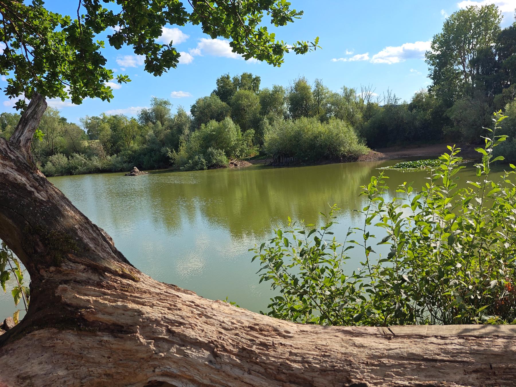 Strecke Heckenweg – TK2 im Vogelsberg